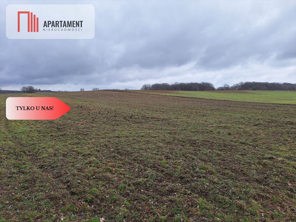 Działka gospodarstwo rolne na sprzedaż Rogów Wołowski  2 976m2 Foto 1