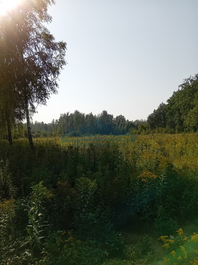 Działka budowlana na sprzedaż Izabelin-Dziekanówek  1 200m2 Foto 11