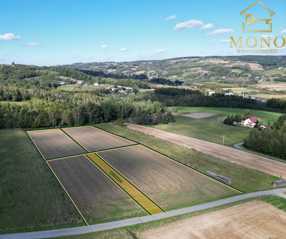 Działka budowlana na sprzedaż Buchcice  9 100m2 Foto 4