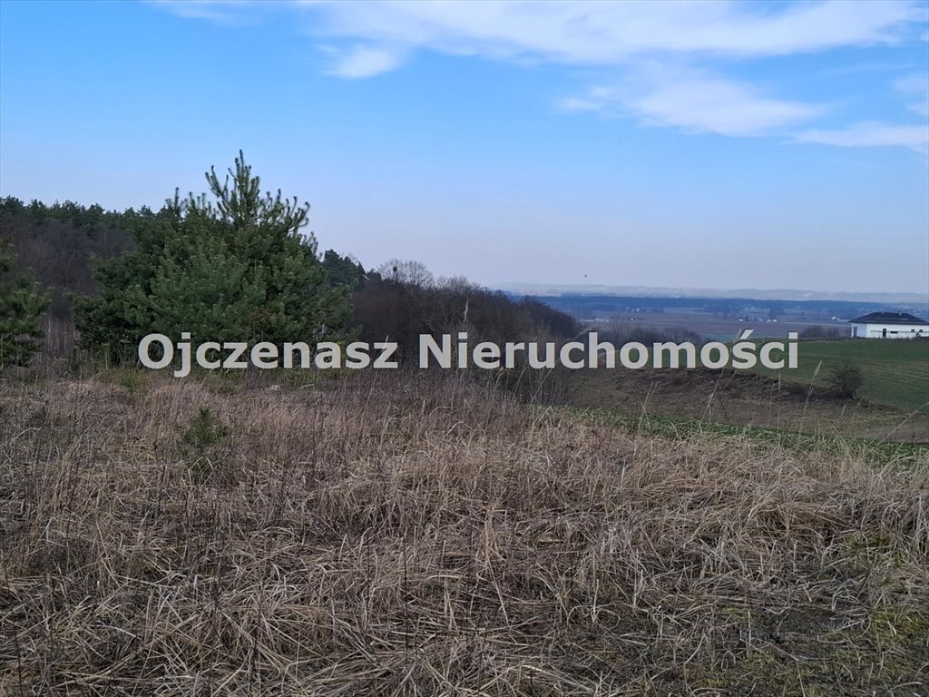 Działka pod dom z garażem, las, media, 3000 m² Gzin Górny  3 016m2 Foto 1