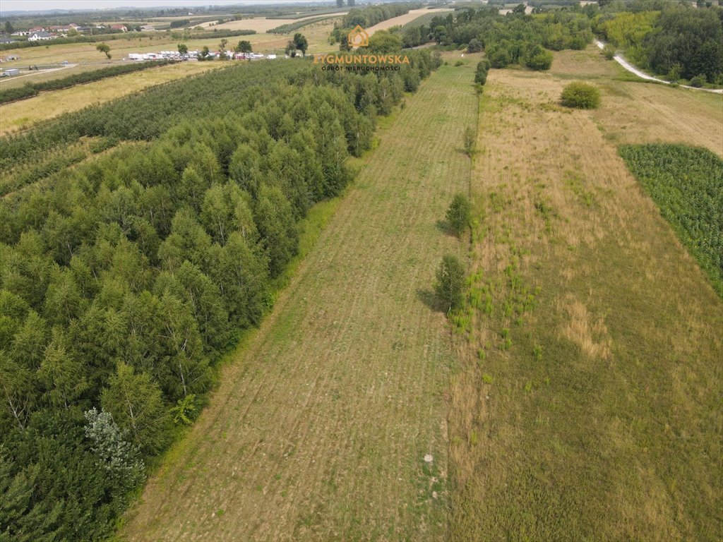 Działka inna na sprzedaż Nowe Miasto nad Pilicą, Pobiedna  9 806m2 Foto 3