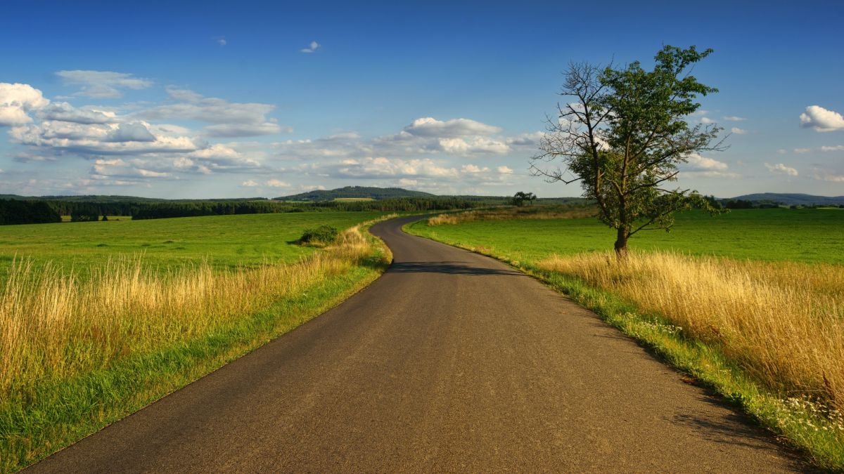 Działka gospodarstwo rolne na sprzedaż Minczewo  10 000m2 Foto 3