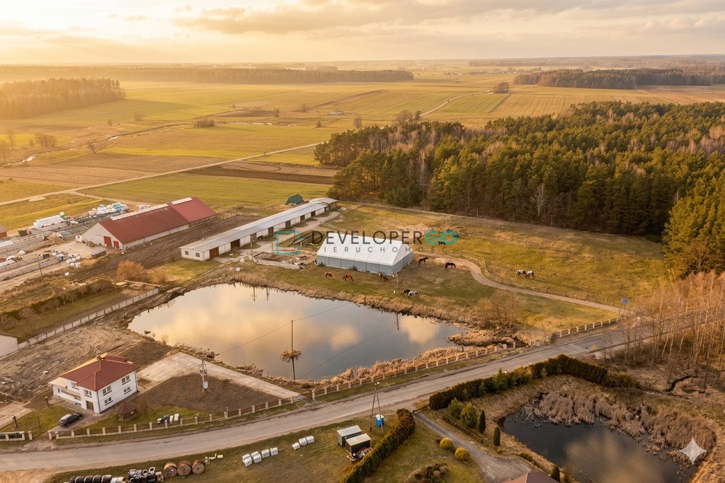 Działka inwestycyjna 2,27 ha z halą i stawem Dąbrowa-Dzięciel  22 730m2 Foto 1