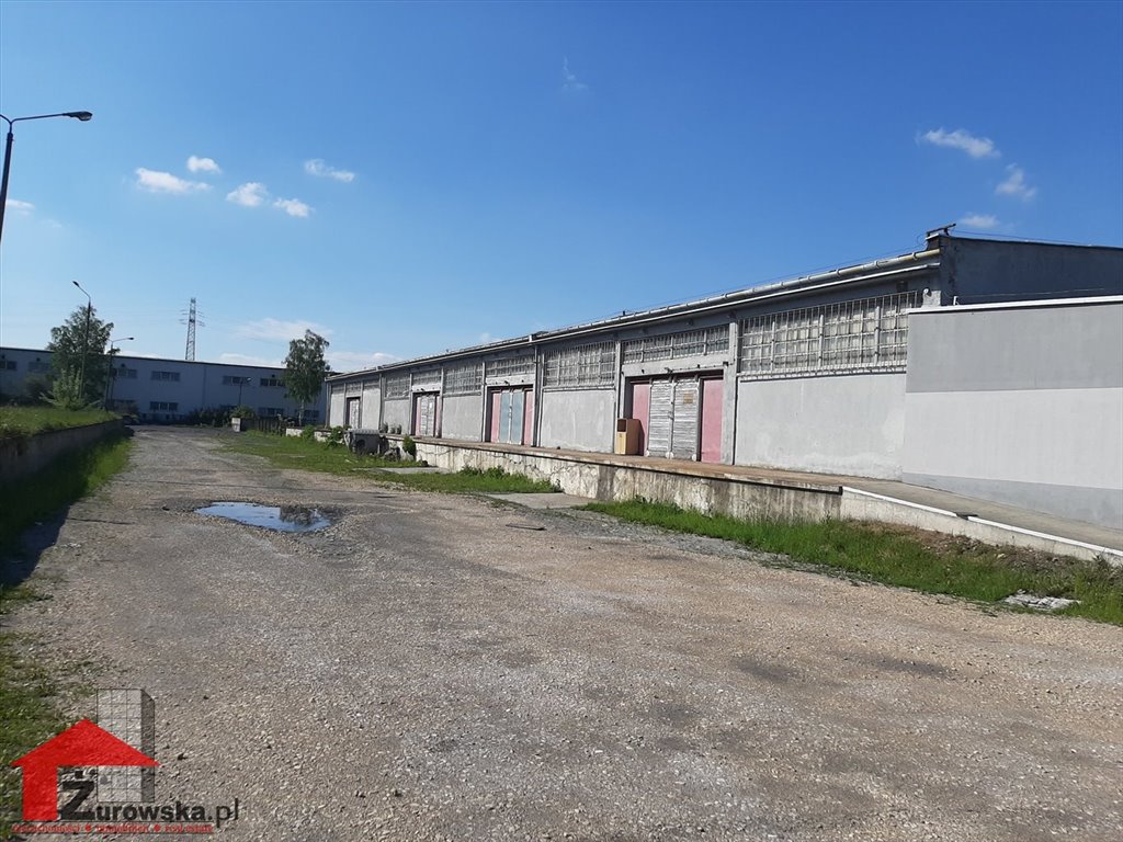 Lokal użytkowy na sprzedaż Gliwice  74 000m2 Foto 15