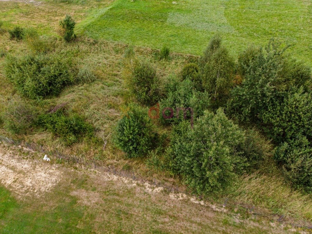 Działka budowlana na sprzedaż Ciekoty  700m2 Foto 5