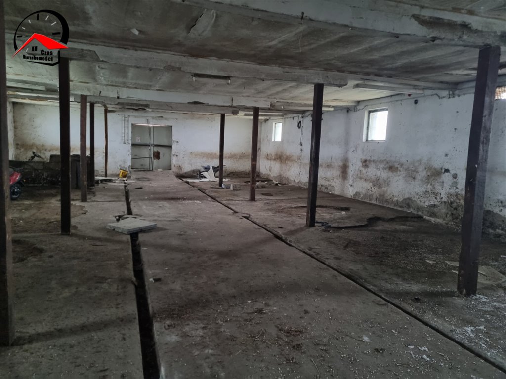 Lokal użytkowy na wynajem Kania  610m2 Foto 11