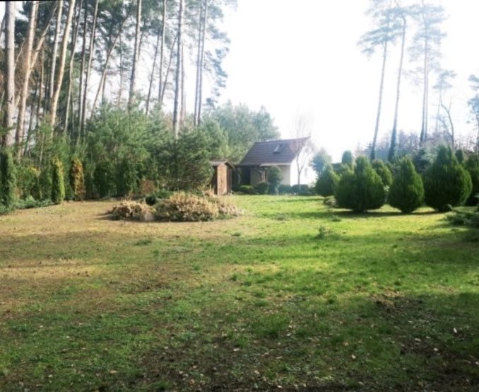 Działka rekreacyjna na sprzedaż Morzyczyn 900m2 Foto 1 Działka rekreacyjna na sprzedaż Morzyczyn 900m2 Foto 1