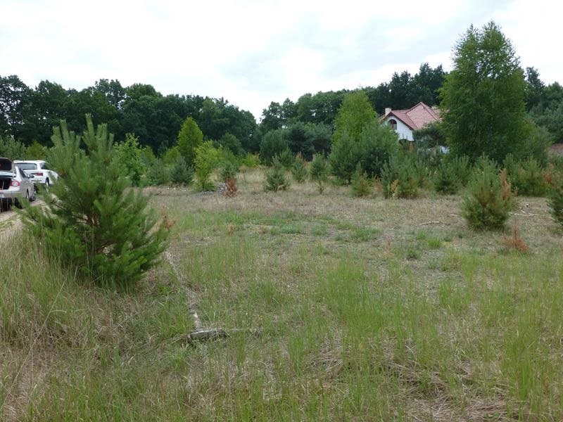 Działka inna na sprzedaż Kwakowo, Krótka 1 366m2 Foto 1 Działka inna na sprzedaż Kwakowo, Krótka 1 366m2 Foto 1