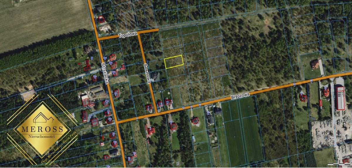 Działka budowlana na sprzedaż Kalej  1 082m2 Foto 16