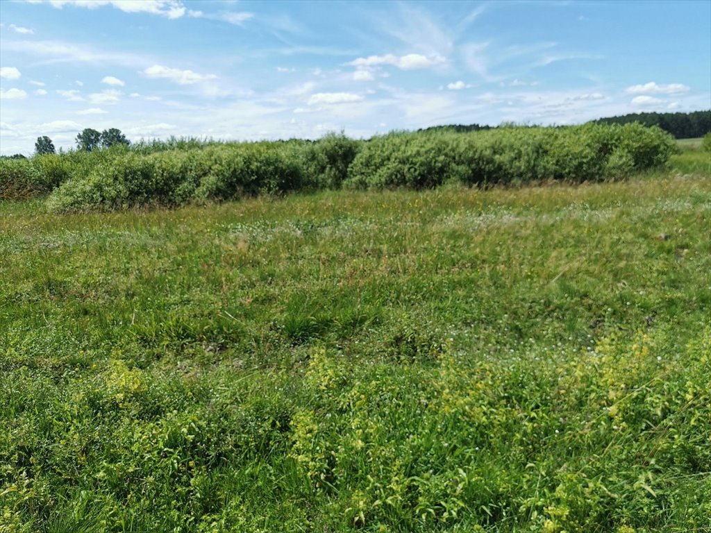 Działka rolna na sprzedaż Kleszczyna  27 800m2 Foto 10