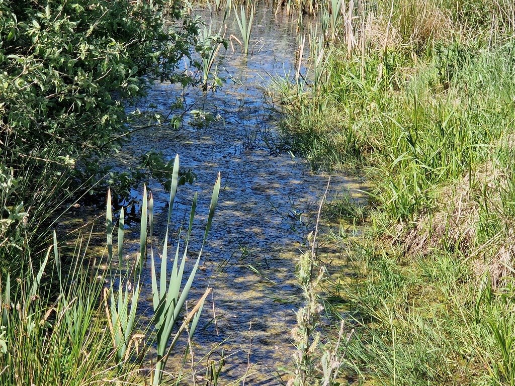 Działka budowlana na sprzedaż Szarłata, Spadzista  15 977m2 Foto 1