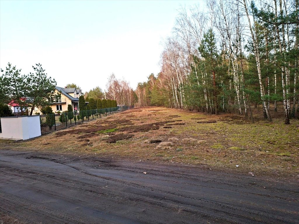 Działka 3 842 m² z lasem (letniskowa) w Ostrówku Ostrówek  3 842m2 Foto 1