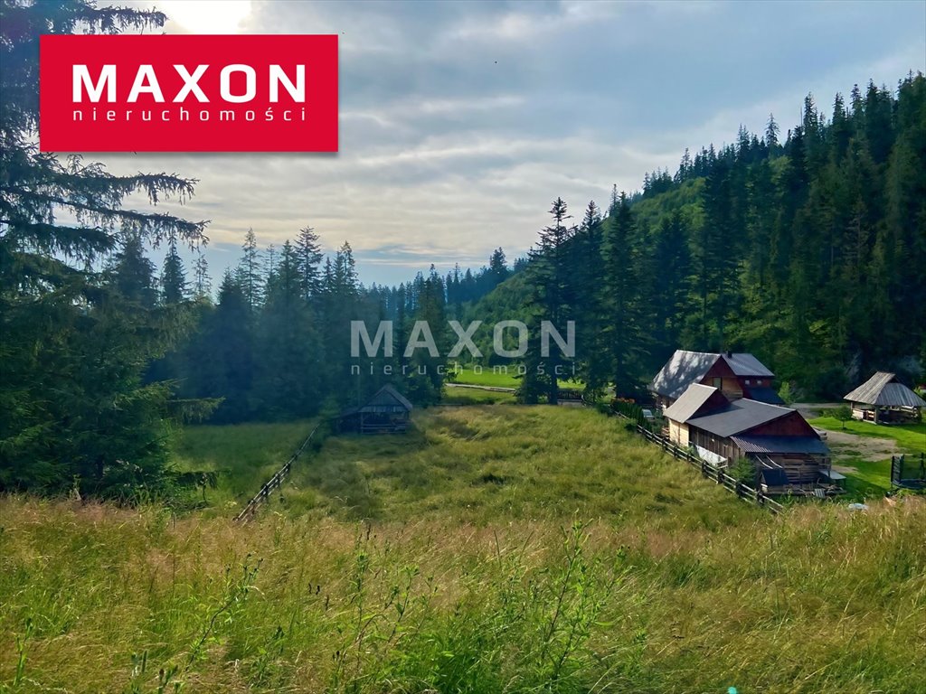 Działka na wynajem w Witowie 2747 m2 z prądem i ogrodzeniem Witów  2 747m2 Foto 1