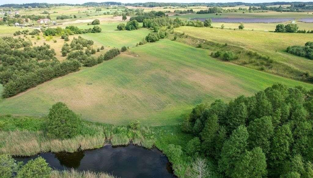 Działka rolna na sprzedaż Straduny  3 169m2 Foto 15