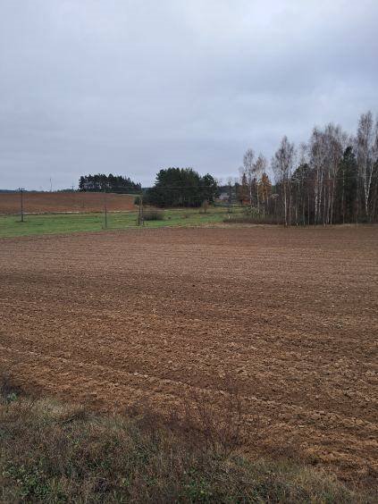 Dom na sprzedaż Jałówka  3 000m2 Foto 5