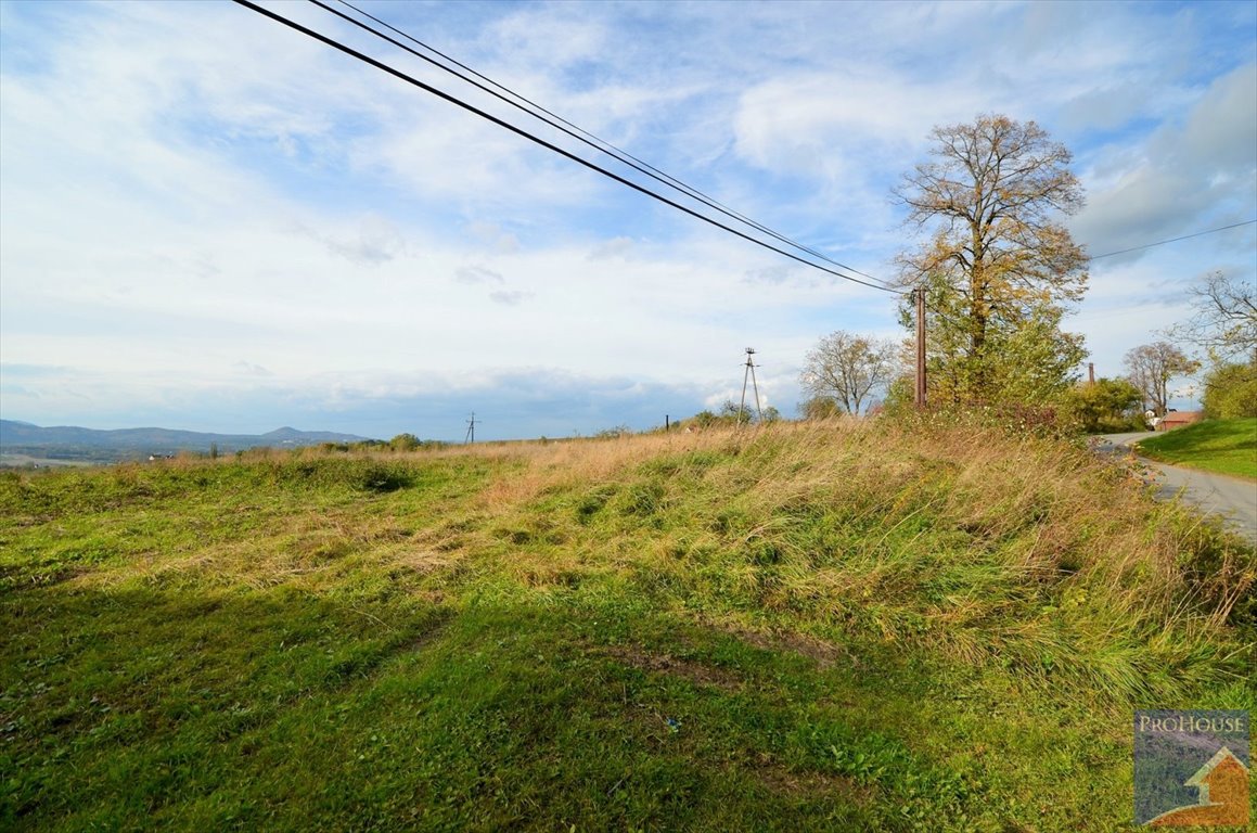 Działka budowlana na sprzedaż Kostrza  5 900m2 Foto 15