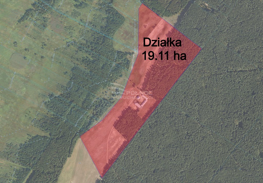 Działka rolna na sprzedaż Olszowa Droga  228 800m2 Foto 6