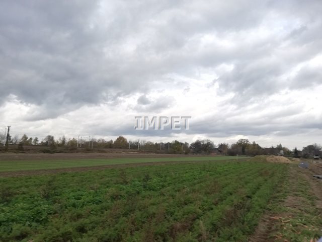 Działka inna na sprzedaż Jędrzychowice 1 100m2 Foto 1 Działka inna na sprzedaż Jędrzychowice 1 100m2 Foto 1