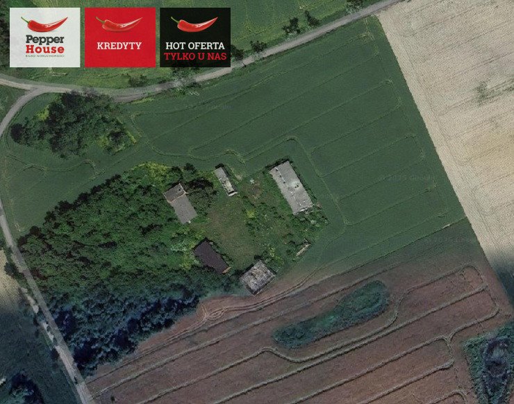 Działka budowlana na sprzedaż Michalin  3 000m2 Foto 1