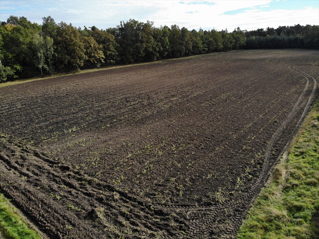 Działka przemysłowo-handlowa na sprzedaż Gromadka  9 200m2 Foto 4