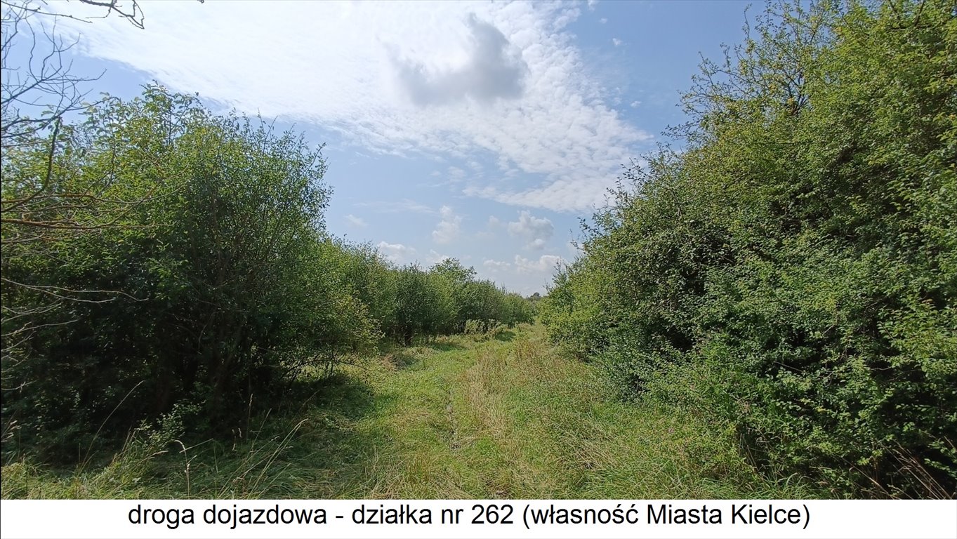 Działka rolna na sprzedaż Kielce, Posłowicka  3 106m2 Foto 4