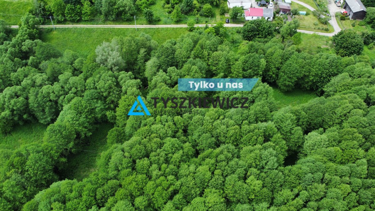 Atrakcyjna działka rolna 7 800 m² w Podgórach Podgóry  7 800m2 Foto 1