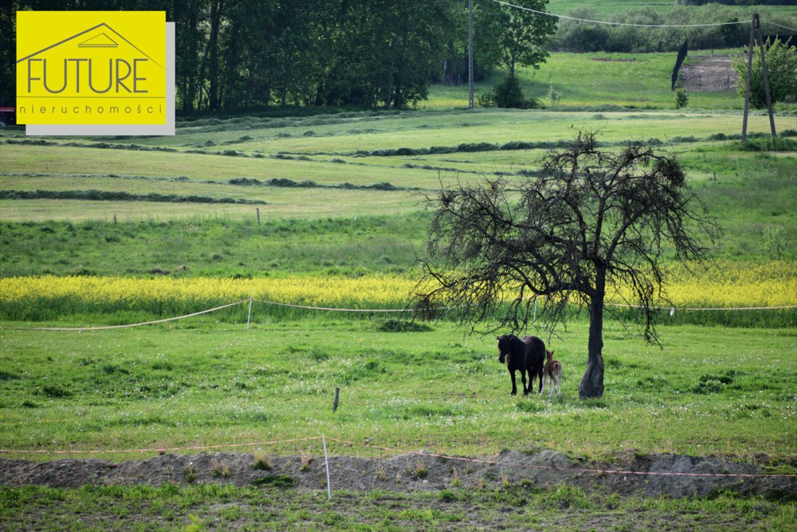 Sprzedam działkę 4254 m² z warunkami zabudowy w Liksajnach Liksajny  4 254m2 Foto 1