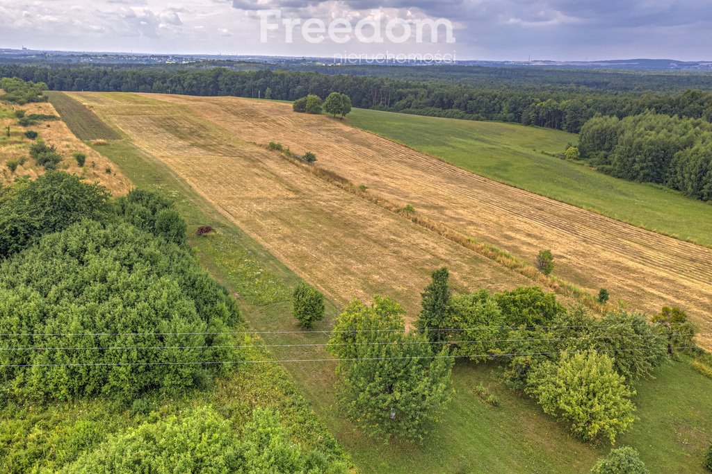 Działka rolna na sprzedaż Siemonia, Kościuszki  17 300m2 Foto 4