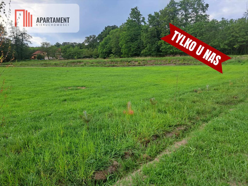 Działka budowlana na sprzedaż Wały  1 000m2 Foto 7