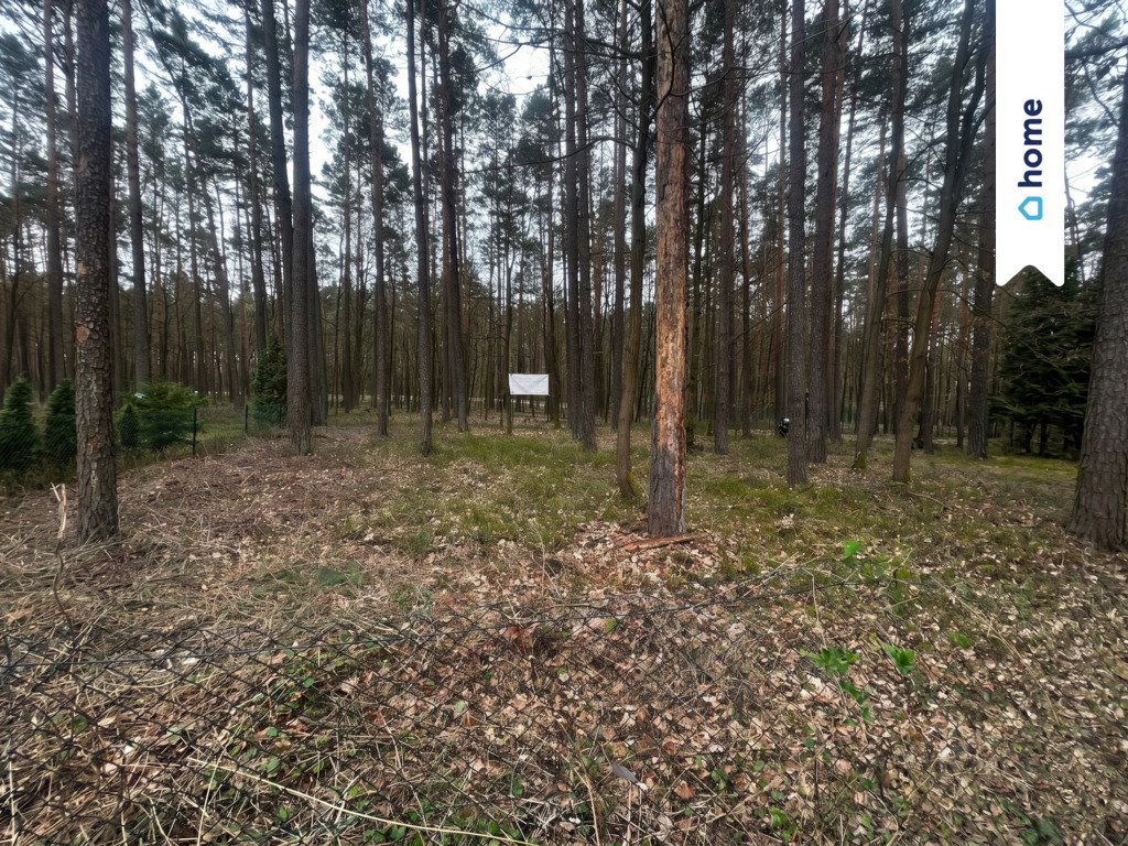 Działka rekreacyjna 359 m² z mediami, las, 15 min Opole Turawa  359m2 Foto 1