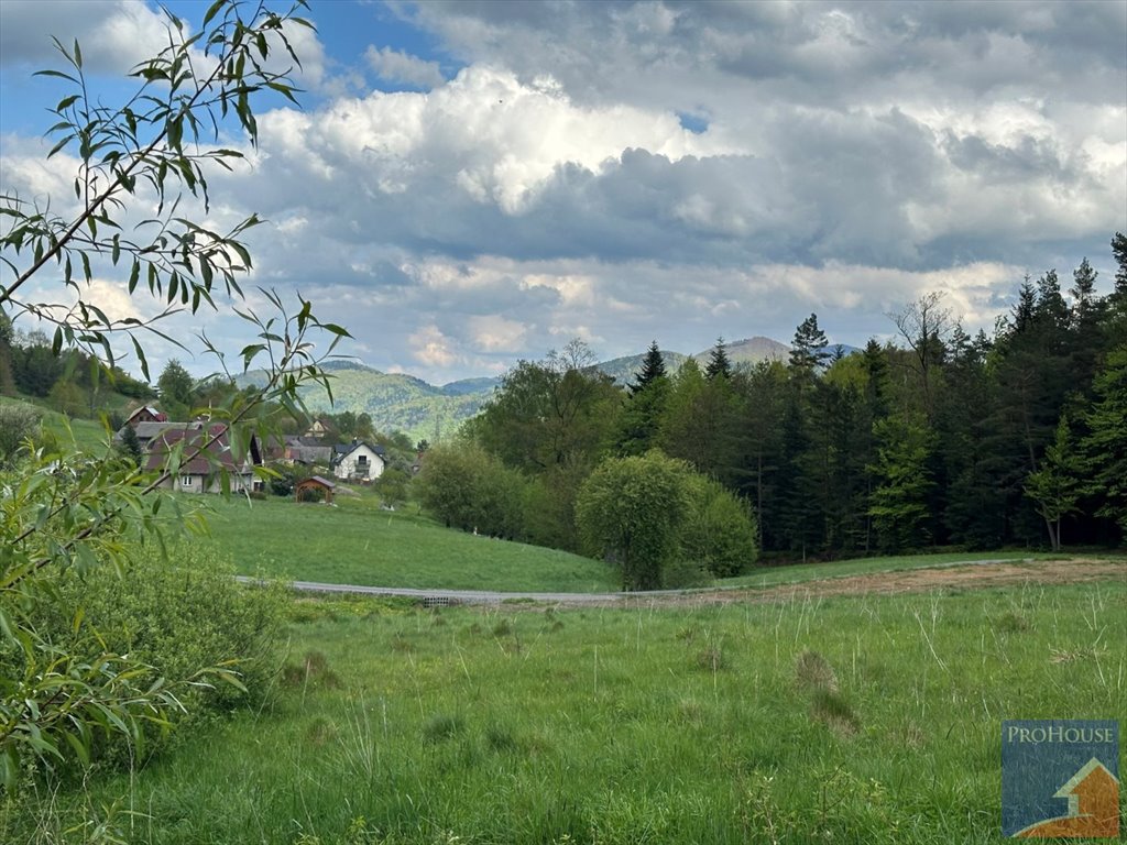 Działka budowlana na sprzedaż Piekiełko  5 617m2 Foto 17