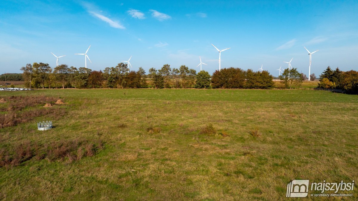 Działka rolna na sprzedaż Sarbia  6 500m2 Foto 8