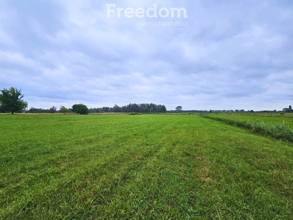 Działka inna na sprzedaż Zastań  14 900m2 Foto 4