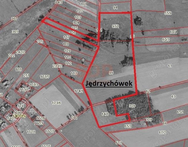 Działka rolna na sprzedaż Jędrzychówek  121 000m2 Foto 4