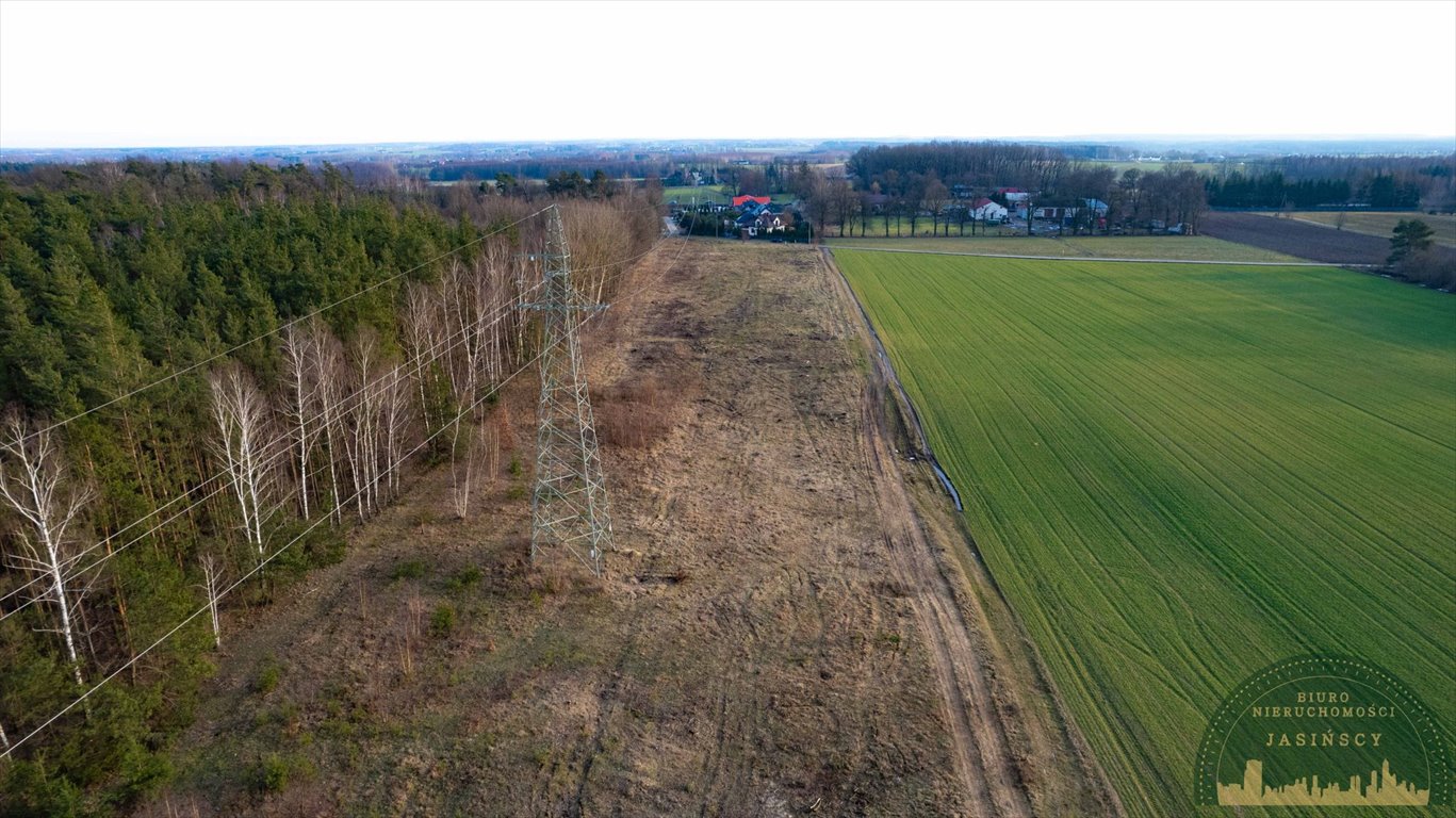 Działka budowlana na sprzedaż Pęchcin, Pęchcin, Wrzosowa  1 273m2 Foto 4