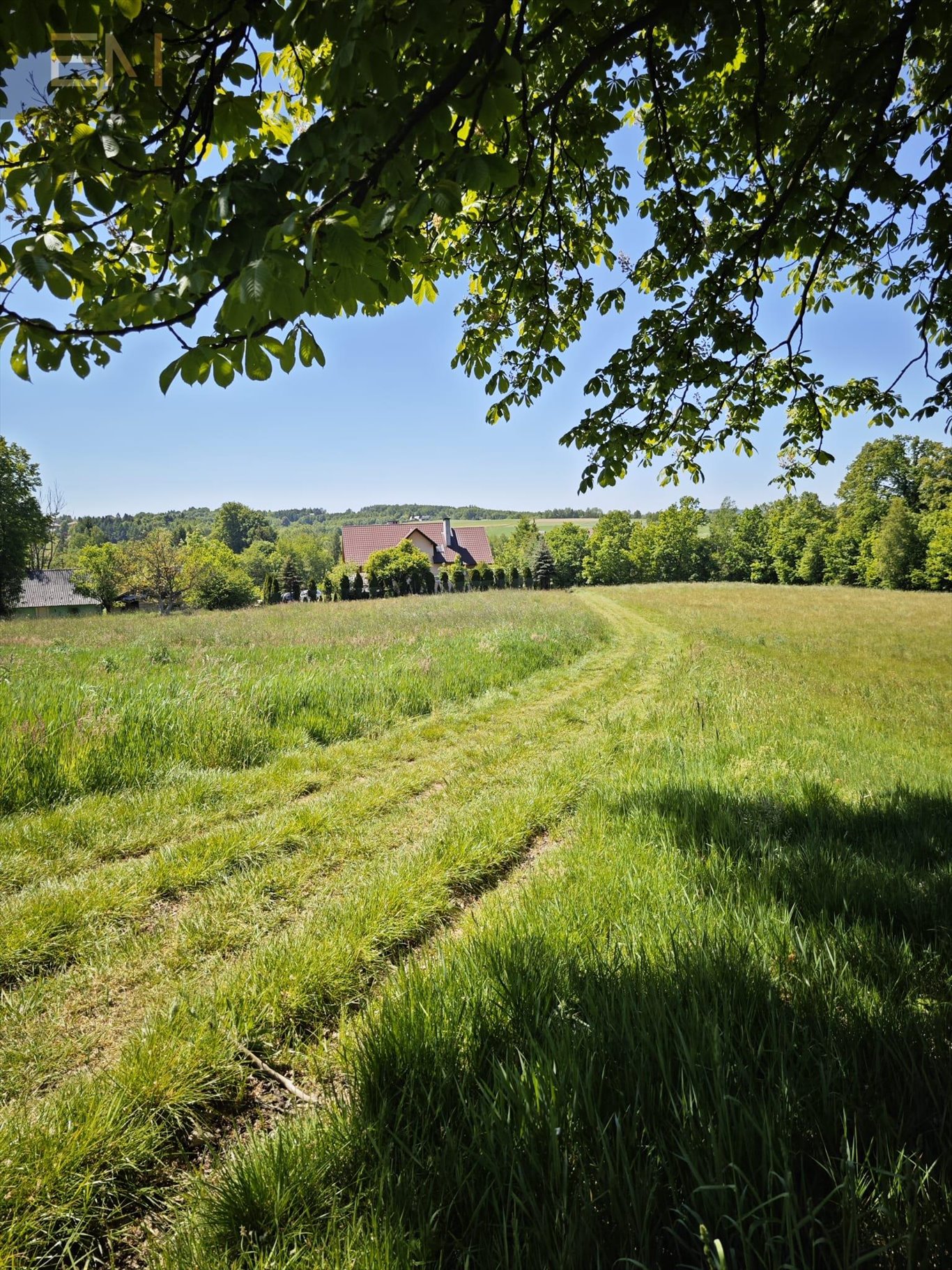 Działka rekreacyjna na sprzedaż Straszydle  5 200m2 Foto 4