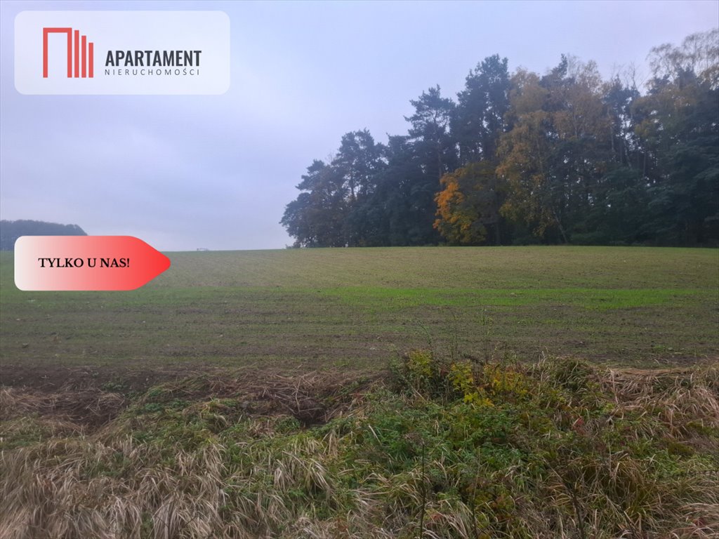 Działka przemysłowo-handlowa na sprzedaż Sulnówko  40 532m2 Foto 1