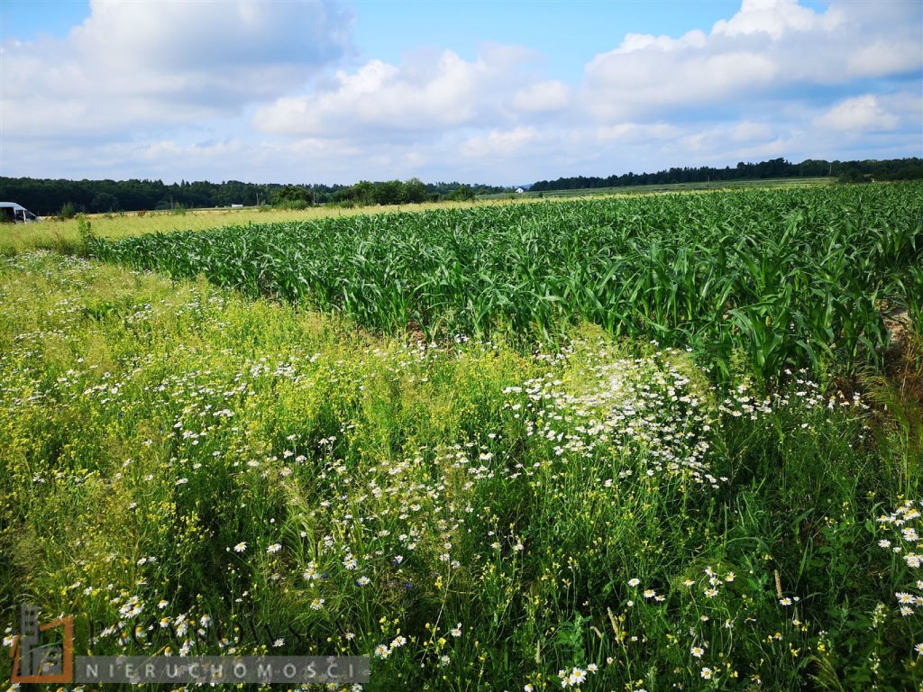 Działka inna na sprzedaż Bibice 1 464m2 Foto 1 Działka inna na sprzedaż Bibice 1 464m2 Foto 1