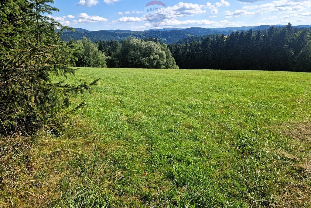 Działka budowlana na sprzedaż Mszalnica  6 700m2 Foto 9