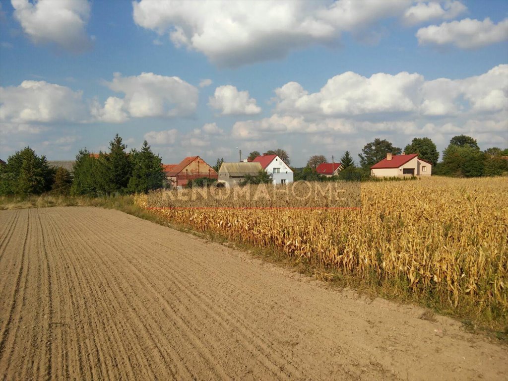 Działka budowlana na sprzedaż Dębice  1 117m2 Foto 3