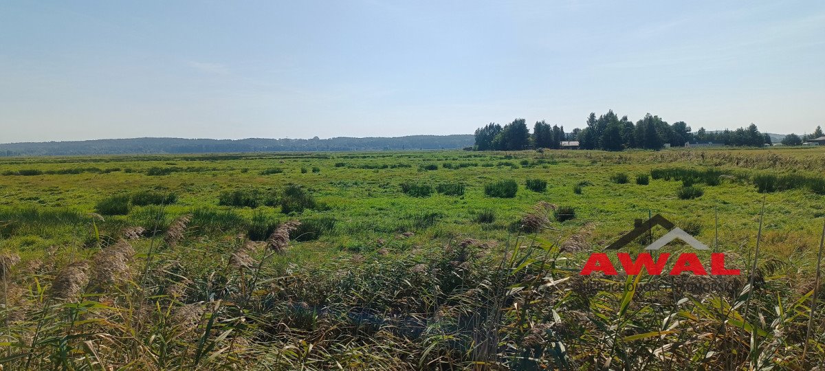 Działka gospodarstwo rolne na sprzedaż Karwieńskie Błoto Drugie  4 800m2 Foto 6