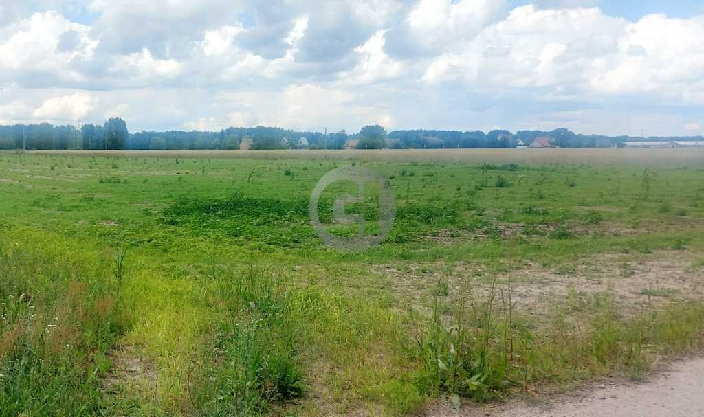 Na sprzedaż działki 1200 m² przy lesie z mediami i utwardzoną drogą Dziersławice  1 200m2 Foto 1