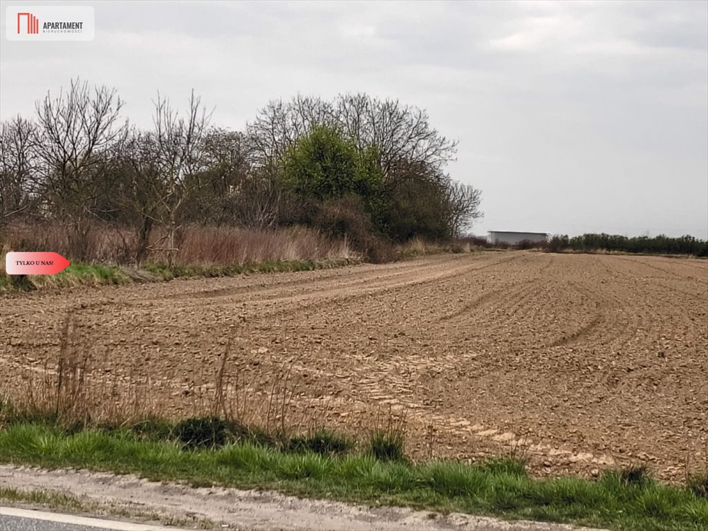 Działka inwestycyjna 5950 m² przy S8 i obwodnicy - polecam! Oleśnica  5 950m2 Foto 1