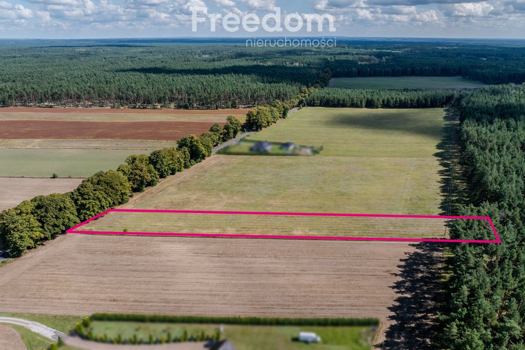 Działka inna na sprzedaż Wołowe Lasy  5 744m2 Foto 1