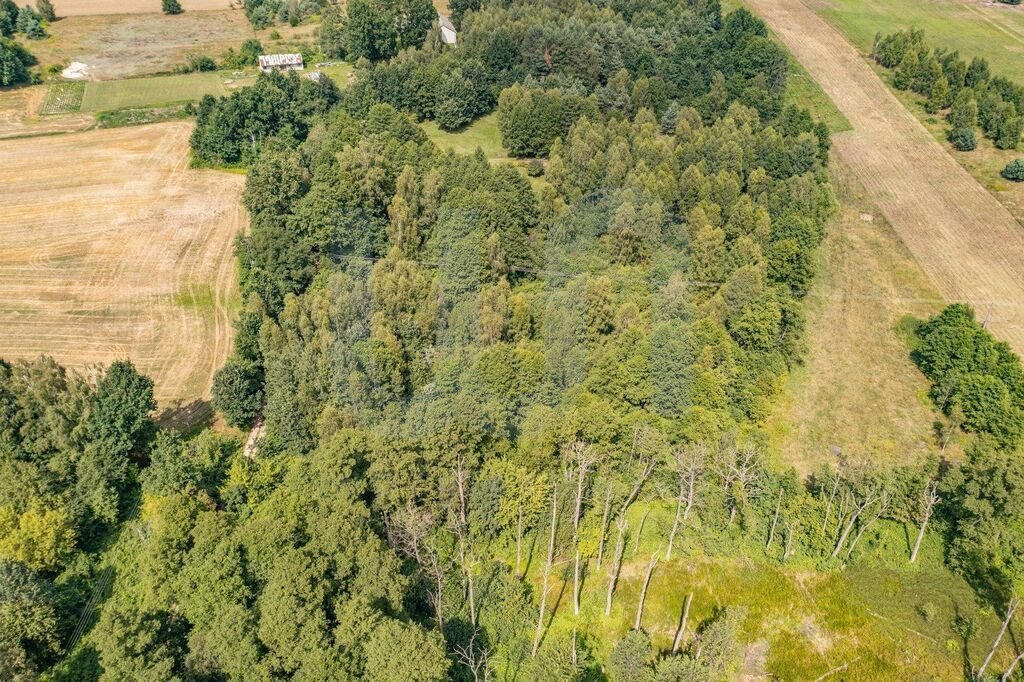 Działka budowlana na sprzedaż Rowy  6 400m2 Foto 6