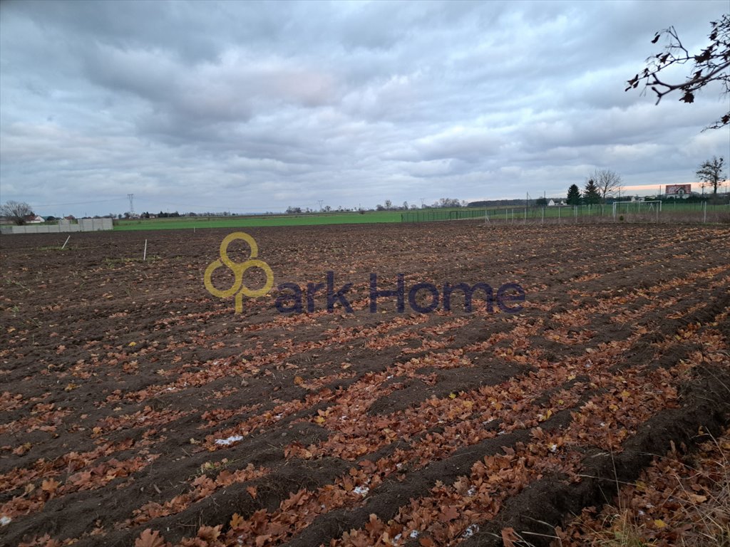 Działka budowlana na sprzedaż Brody  1 000m2 Foto 6