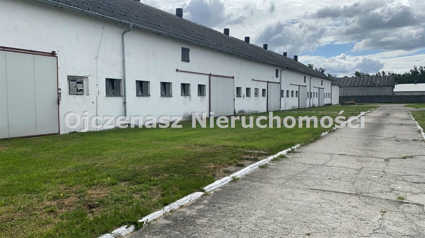 Magazyn na sprzedaż Nowe Dąbie  7 000m2 Foto 14