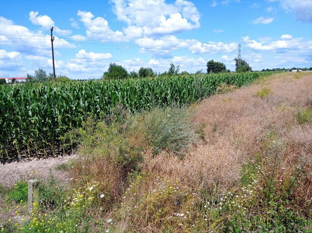 Polecam działkę 22 273 m² pod aktywizację gospodarczą w Poznaniu Poznań, Nowe Miasto, Szczepankowo, Sokalska/Ostrowska  22 273m2 Foto 1