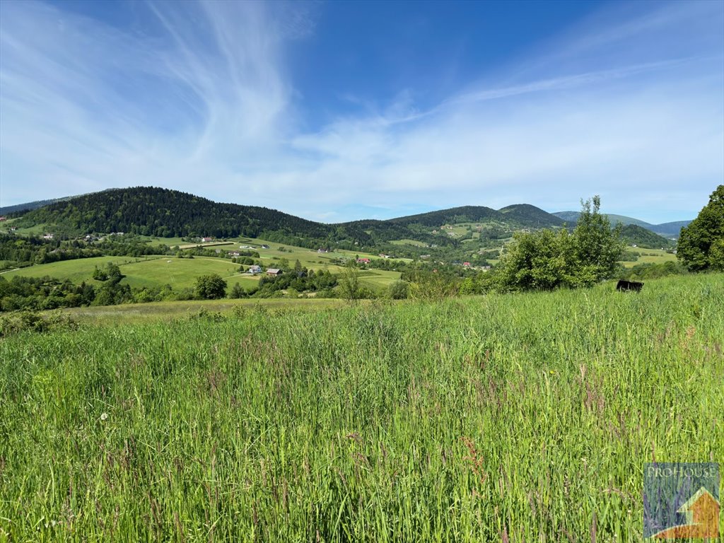 Działka budowlana na sprzedaż Skrzydlna  7 400m2 Foto 4