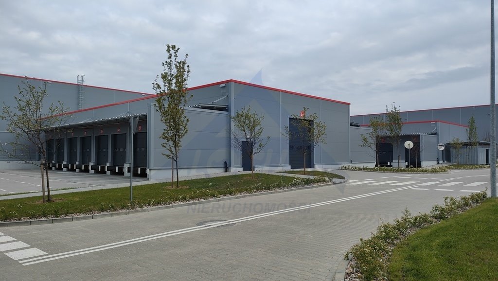 Nowoczesny magazyn z biurem 1 177 m² w Białołęce Warszawa, Białołęka  1 427m2 Foto 1